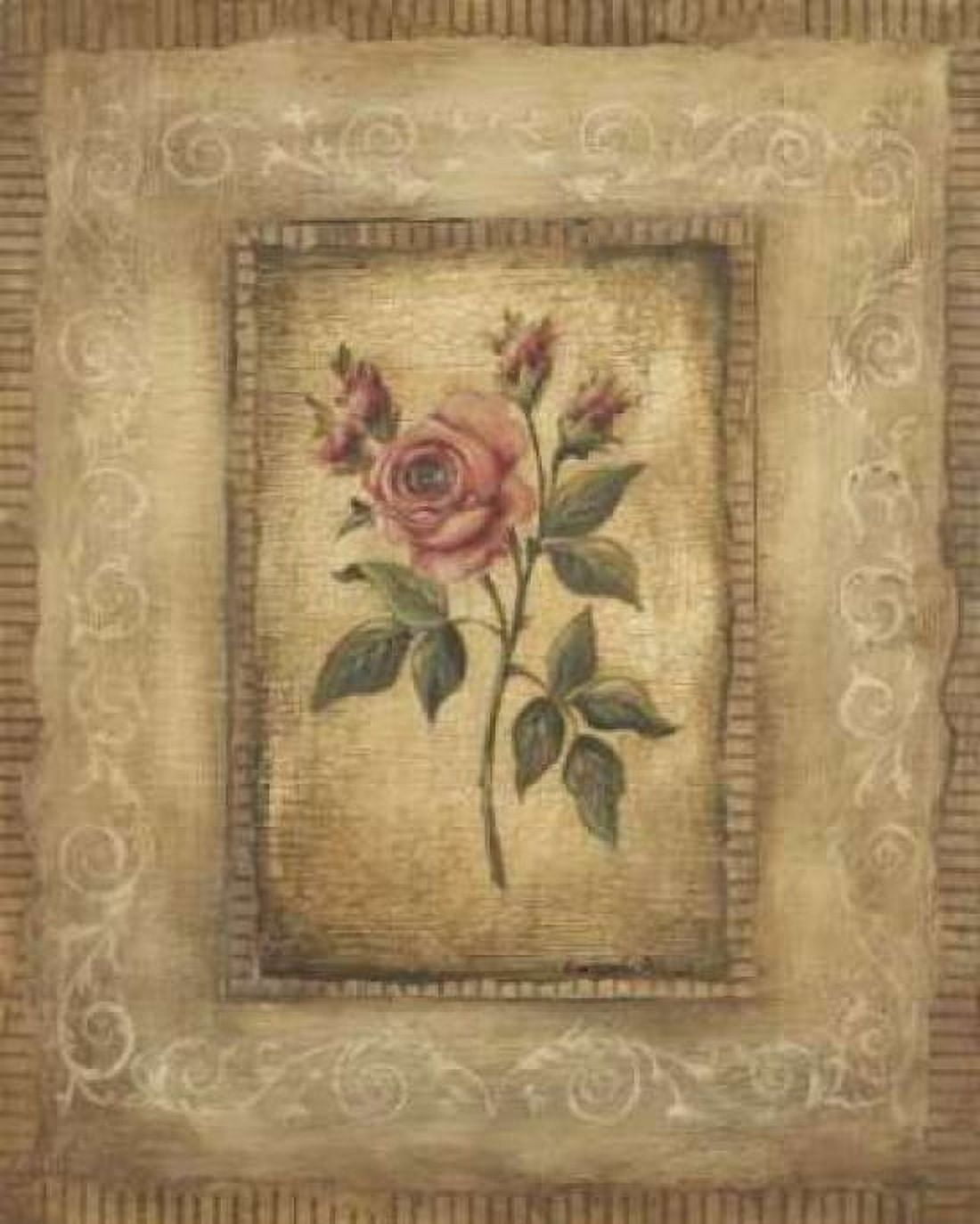 Grand Savin Rose Canvas Art - Kimberly Poloson (20 x 24)