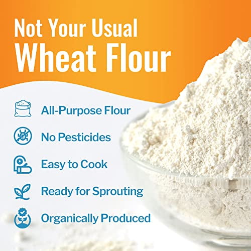 Grand Teton Ancient Grains 100 Organic AllPurpose Einkorn Flour, Einkorn Flour Organic & Non