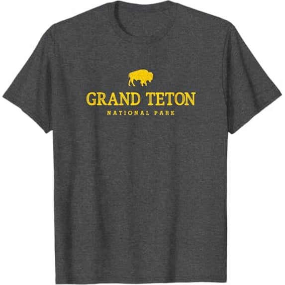Grand Teton Bison Vintage Mens Hiking Souvenir T-Shirt