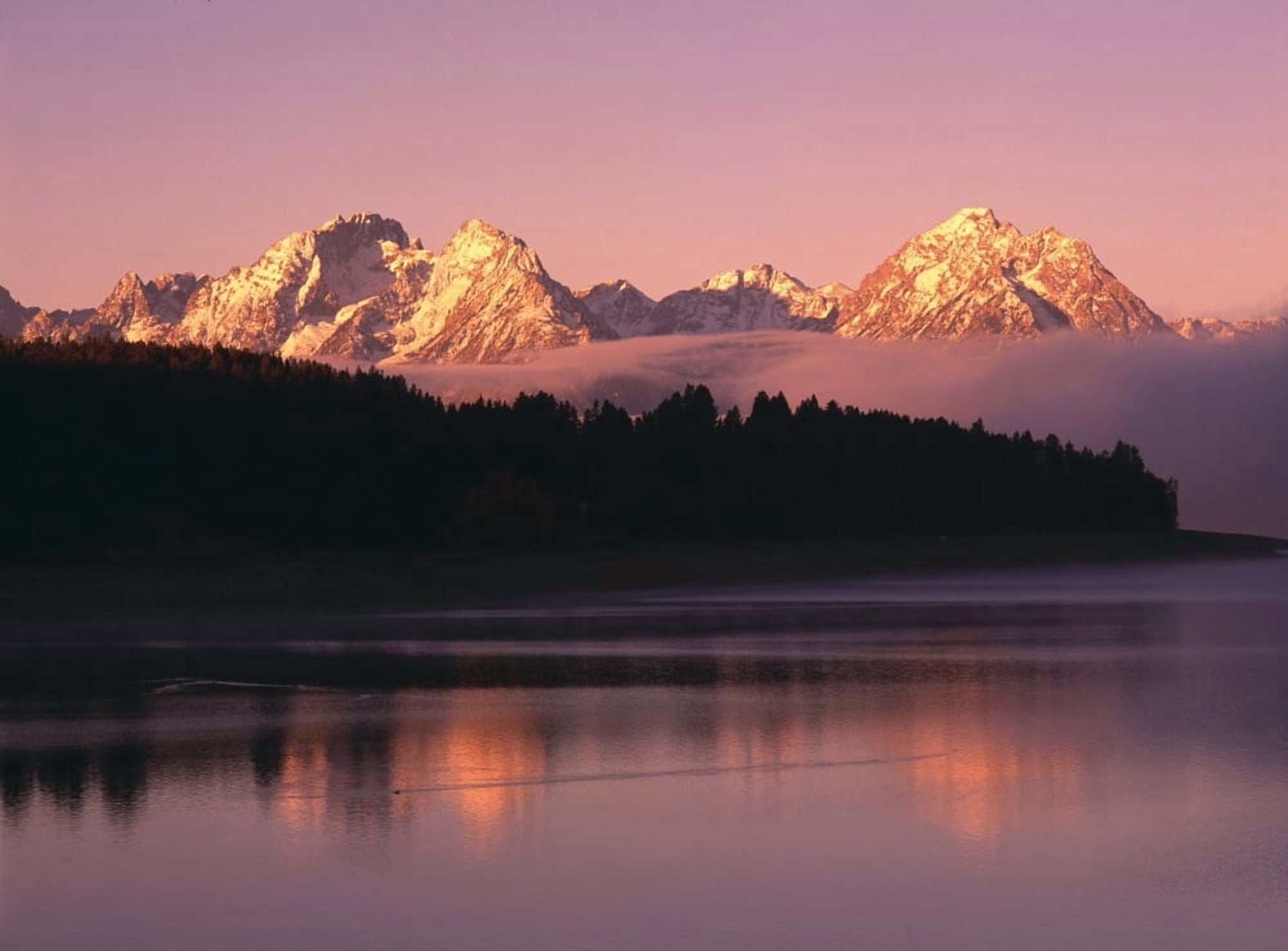 Grand Teton Mountains With Silhouetted Aspen Trees At Sunrise With Reflection In Jackson Lake Grand Teton National Park Canvas Art - Natural Selection David Ponton Design Pics (16 x 11)