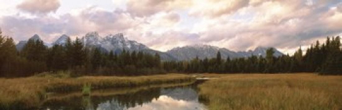 Grand Teton National Park WY USA Canvas Art - Panoramic Images (18 x 6)