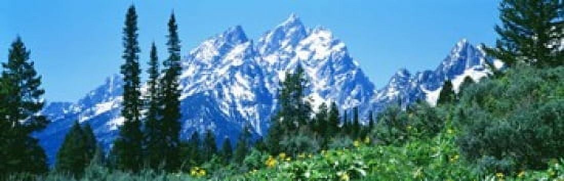 Grand Teton National Park WY USA Canvas Art - Panoramic Images (18 x 6)