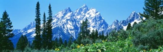 Grand Teton National Park WY USA Canvas Art - Panoramic Images (36 x 12)