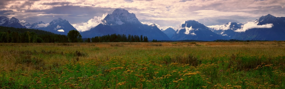 Grand Teton National Park Wyoming Canvas Art - Panoramic Images (36 x 12)