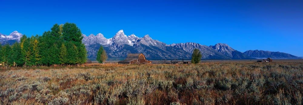 This is Grand Teton National Park There is a pioneer farm with the Tetons behind it It is located off Highway 89 Canvas Art - Panoramic Images (27 x 9)