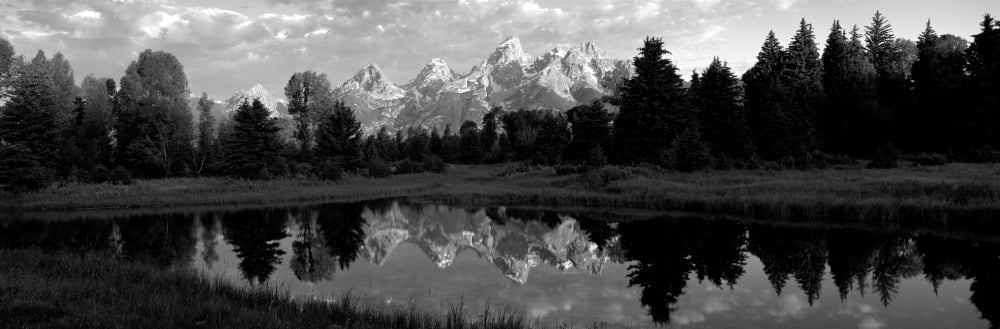 Grand Teton Park Wyoming USA Canvas Art - Panoramic Images (12 x 36)