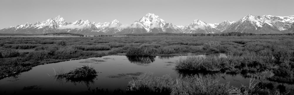 Grand Teton Park Wyoming USA Canvas Art - Panoramic Images (6 x 18)