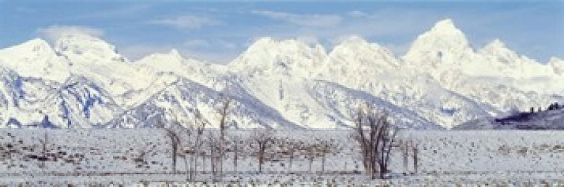 Grand Teton Range in winter Wyoming USA Canvas Art - Panoramic Images (18 x 6)
