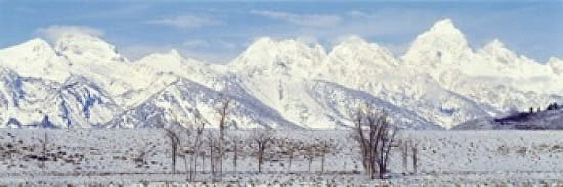Grand Teton Range in winter Wyoming USA Canvas Art - Panoramic Images (36 x 12)