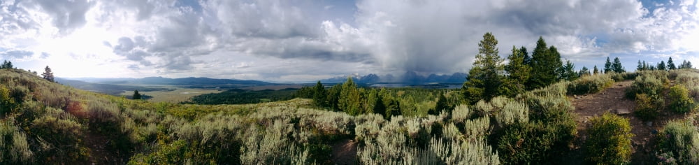 Grand Teton from Signal Mountain Grand Teton National Park Wyoming USA Canvas Art - Panoramic Images (5 x 20)