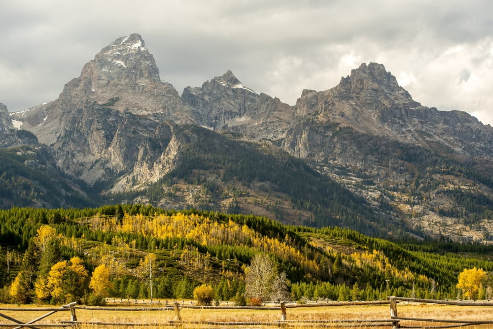 Grand Teton range in autumn Grand Teton National Park Wyoming United States of America Canvas Art - Mark Emery Design Pics (38 x 24)