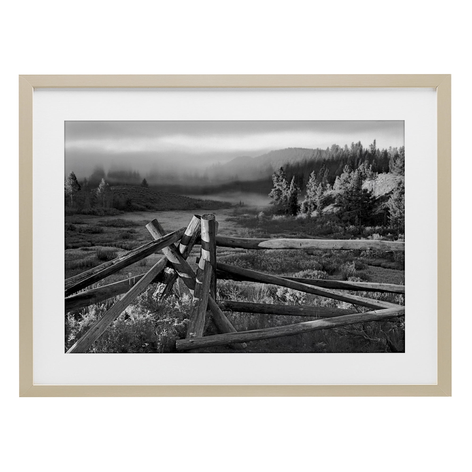 Grand Tetons Fence Beyond Birch Framed Print Under Glass, design by MJ Photography