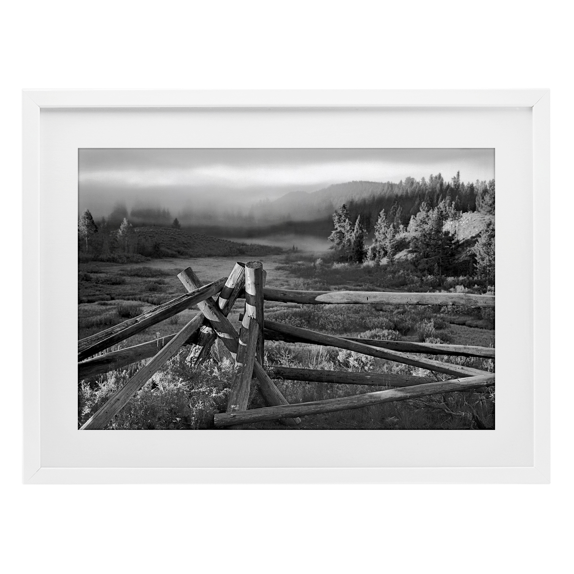 Grand Tetons Fence Beyond White Framed Print Under Glass, design by MJ Photography