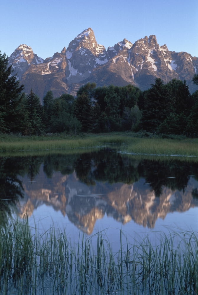 Grand Tetons From Schwabacher Landing Canvas Art - Mary Winch Design Pics (12 x 18)