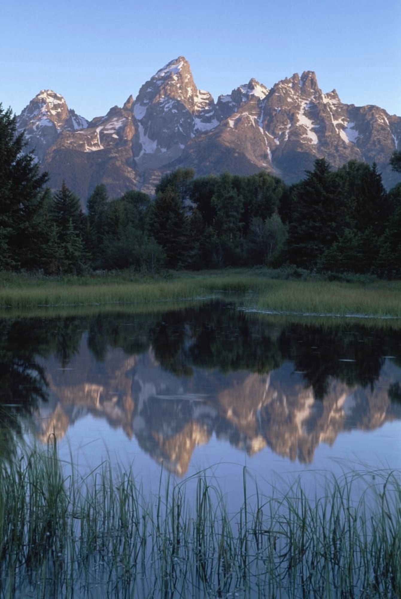Grand Tetons From Schwabacher Landing Canvas Art - Mary Winch Design Pics (24 x 36)