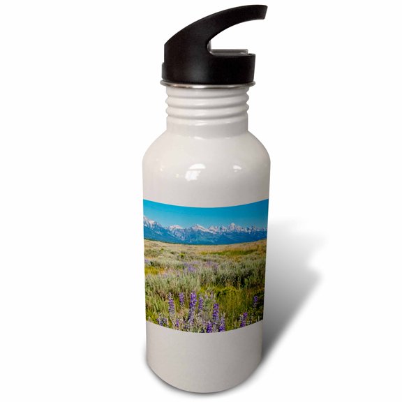 3dRose, Grand Tetons mountain range, Jackson Hole, Wyoming - US51 BBA0022 - Bill Bachmann, 21 oz Sports Water Bottle