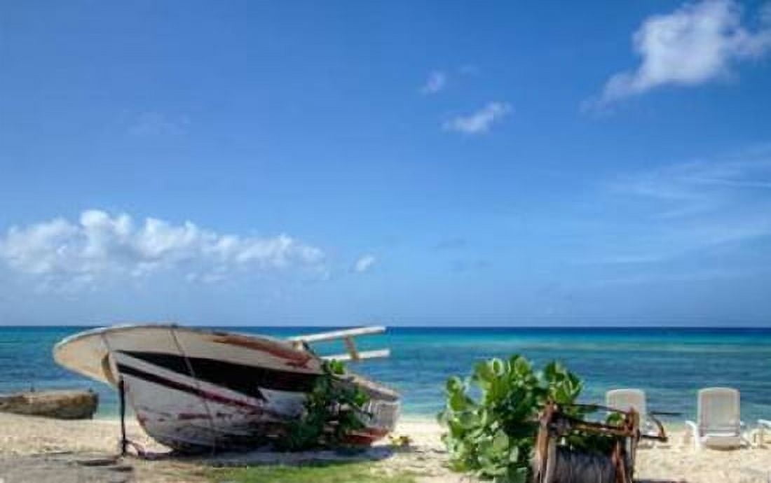 Grand Turk II Canvas Art - George Johnson (24 x 36)