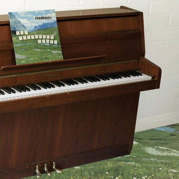 Grandaddy - The Sophtware Slump .... On A Wooden Piano - Music & Performance - Vinyl