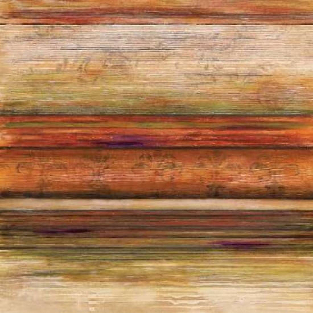 Grande Spectrum II Canvas Art - Michael Brey (24 x 24)