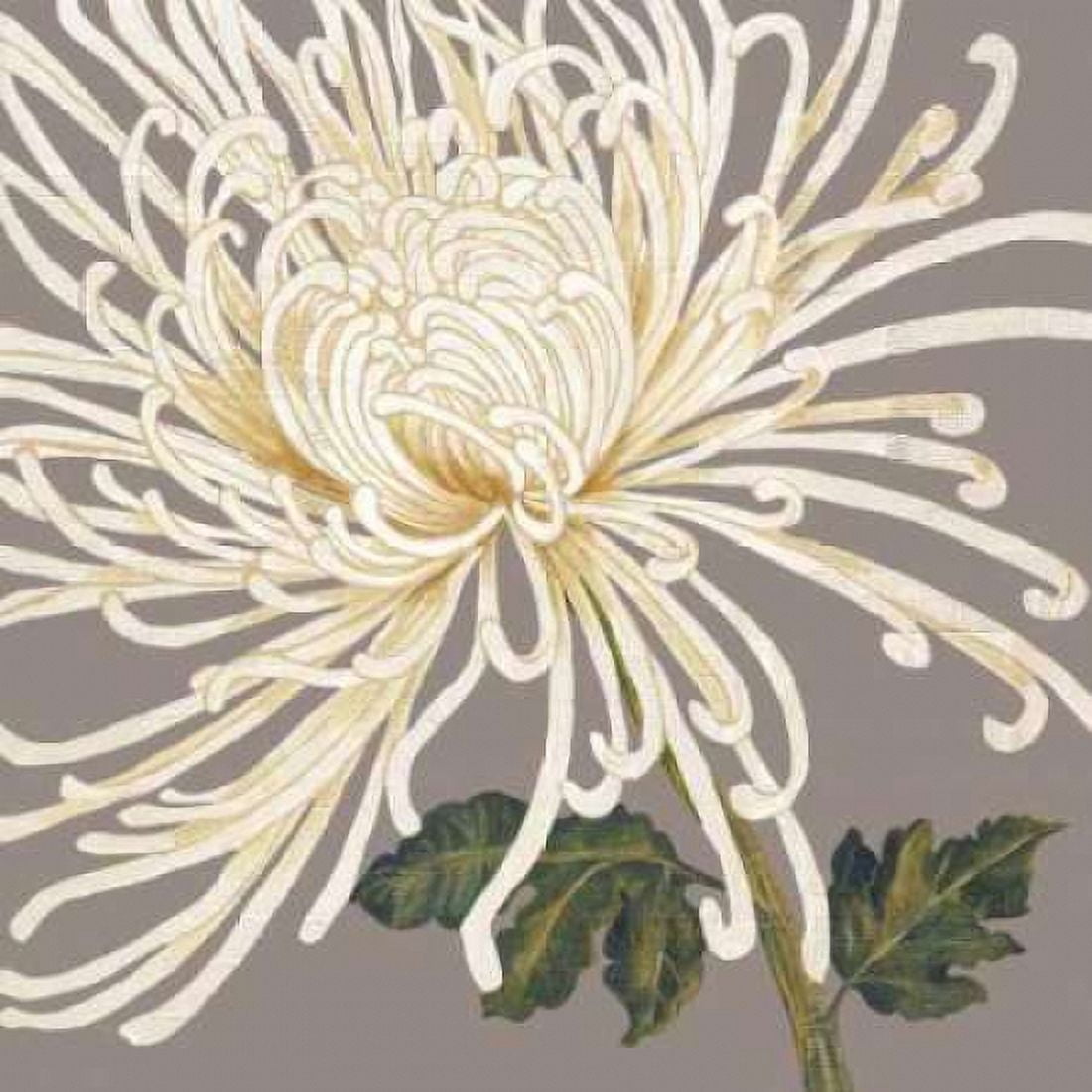 Grande and Glorious Canvas Art - Judy Shelby (24 x 24)