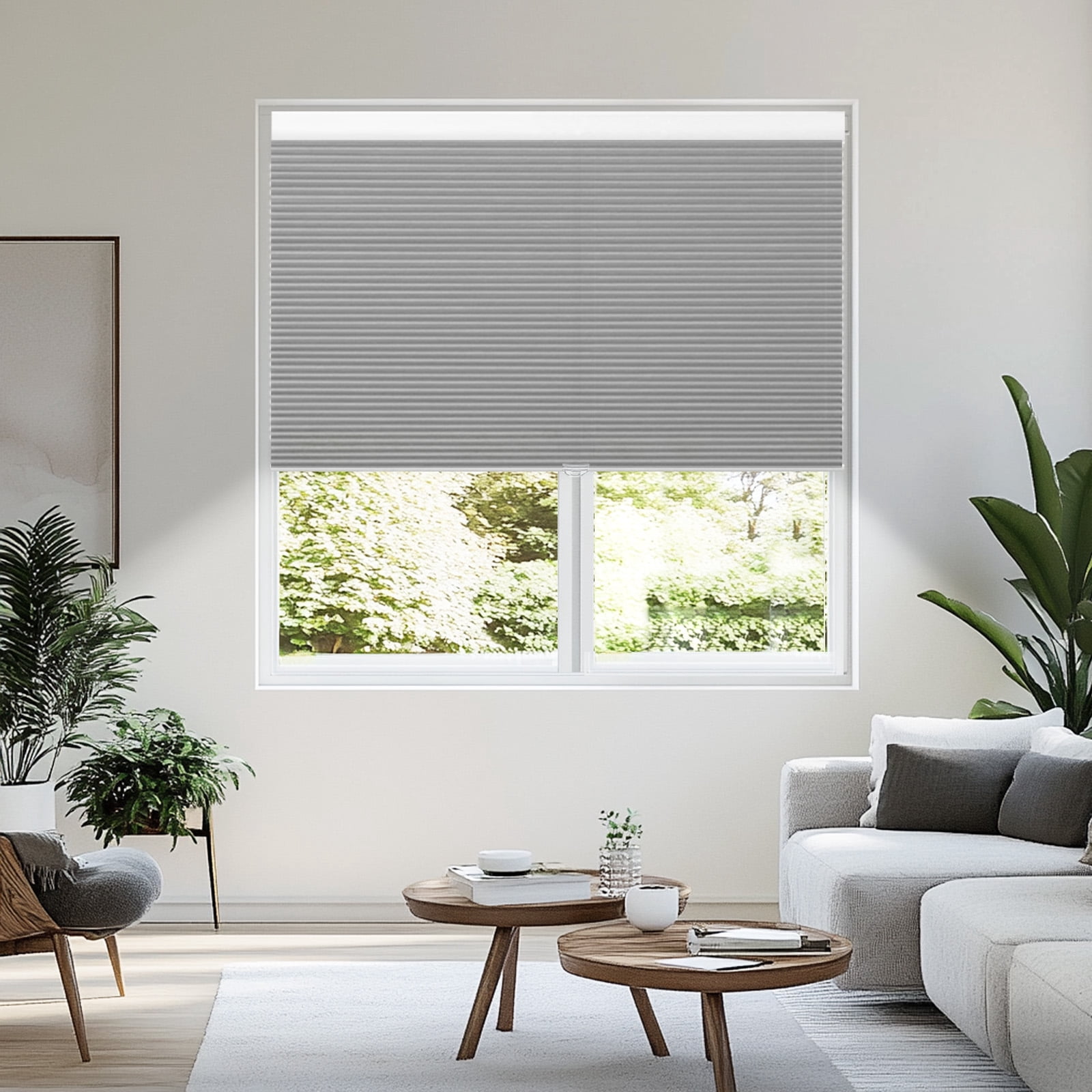 Grandekor Window Blinds and Shdes Cordless Cellular Shades, Gray(blackout) 34"W x 64"H
