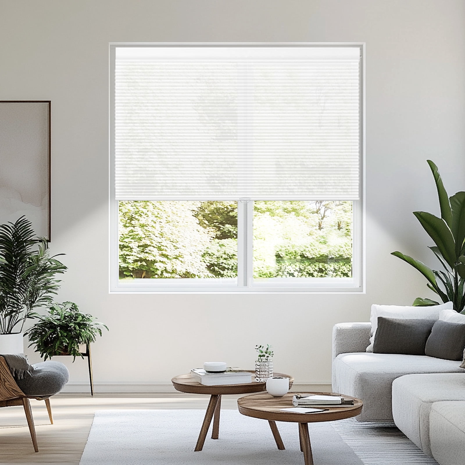 Grandekor Window Blinds and Shdes Cordless Cellular Shades, White(blackout) 58"W x 48"H