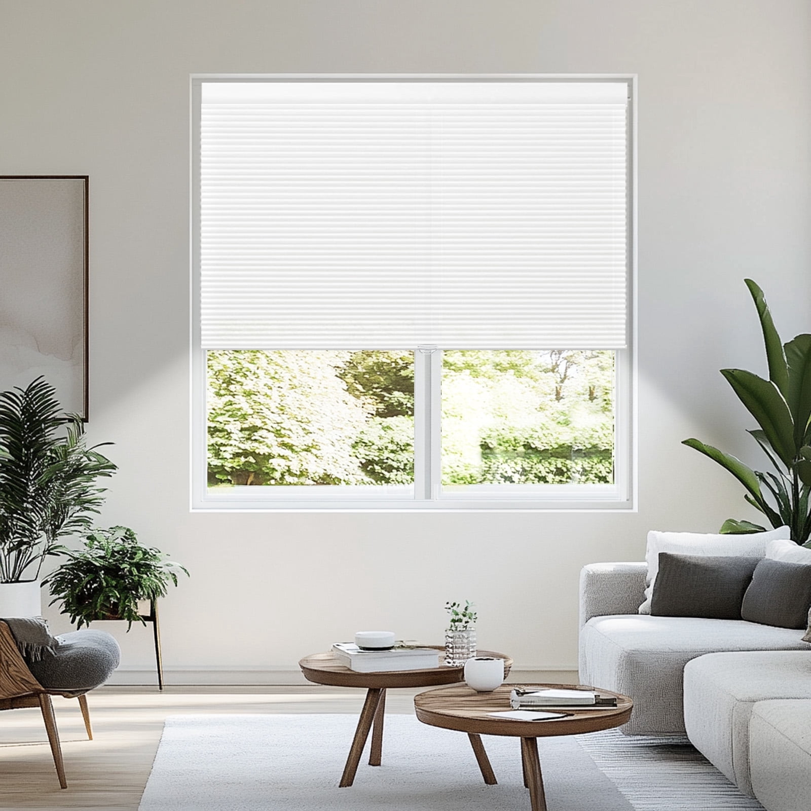 Grandekor Window Blinds and Shdes Cordless Cellular Shades, White(light Filtering) 31"W x 64"H