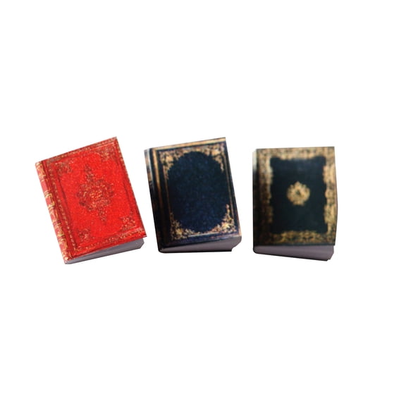 Grandest Birch 3 Pcs Miniature Books Multi-use Handmade Paper Miniature Books Display for Home Miniature Book:Paper