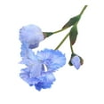 thumbnail image 1 of Grandest Birch 3PCS Artificial Iris Branch with Stem Green Leaves Home Wedding Party Faux Flower Floral Arrangement Indoor Outdoor Decoration Photo Props ,Blue, 1 of 6