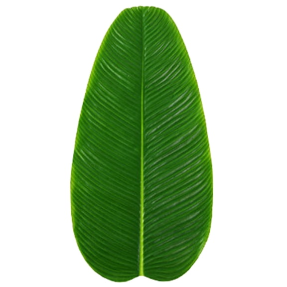 Grandest Birch 5PCS 5 Sheet Artificial Leaf Fresh-keeping DIY Weather-resistant Decorative Beautiful Faux Banana Leaf Household Supplies ,S