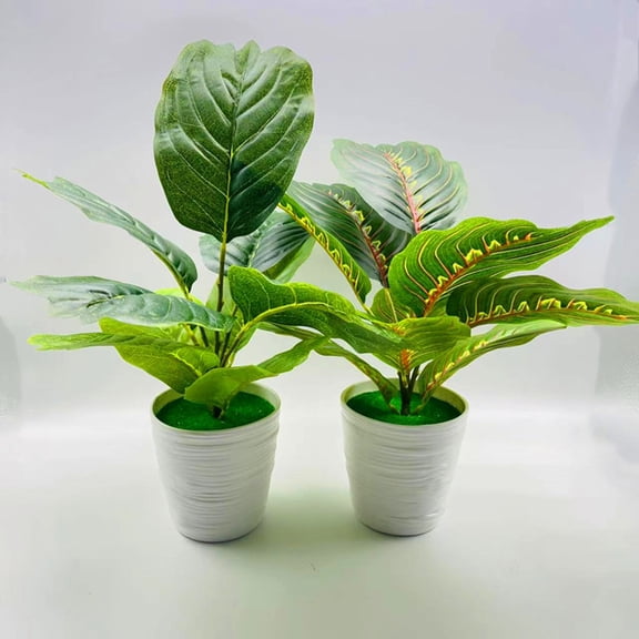 Grandest Birch Decorative Artificial Bonsai Fresh Keeping Reusable No Withering Simulation Plants Home Decor