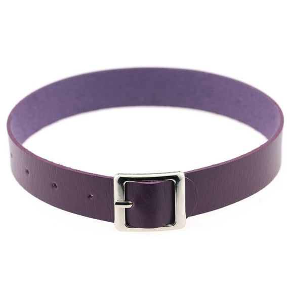 Grandest Birch Necklace Punk Retro Faux Leather Buckle Choker Necklace for Dating Faux Leather,Alloy Purple