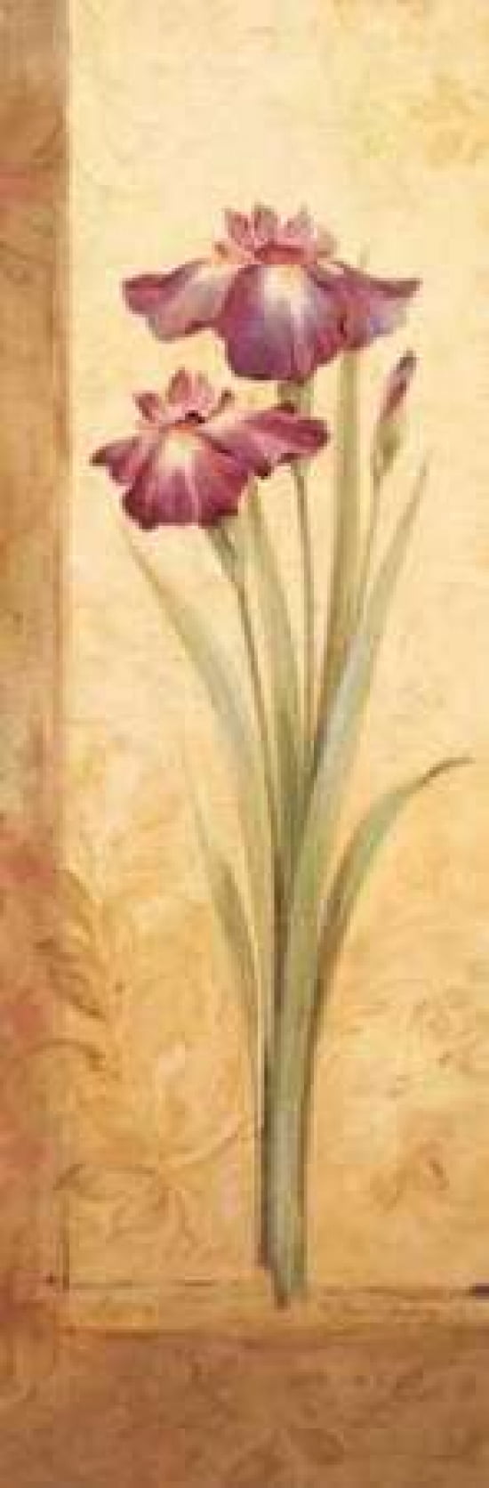Grandiflora I Canvas Art - Pamela Gladding (12 x 36)
