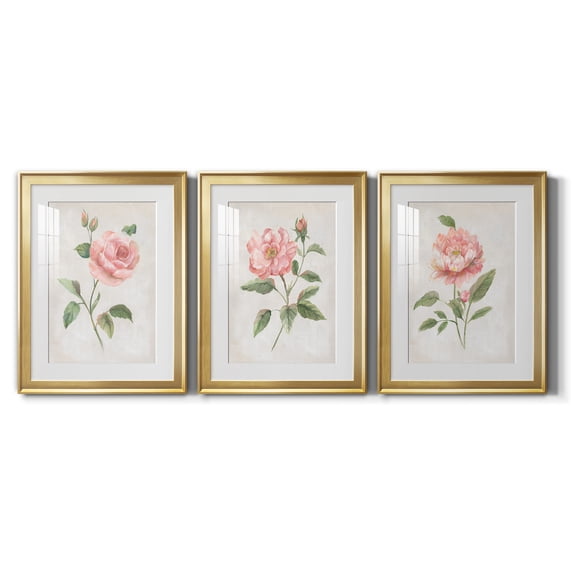 Grandiflora I Premium Framed Prints Set of 3 - Ready to Hang - 18 x 24 Each - Gold Frame