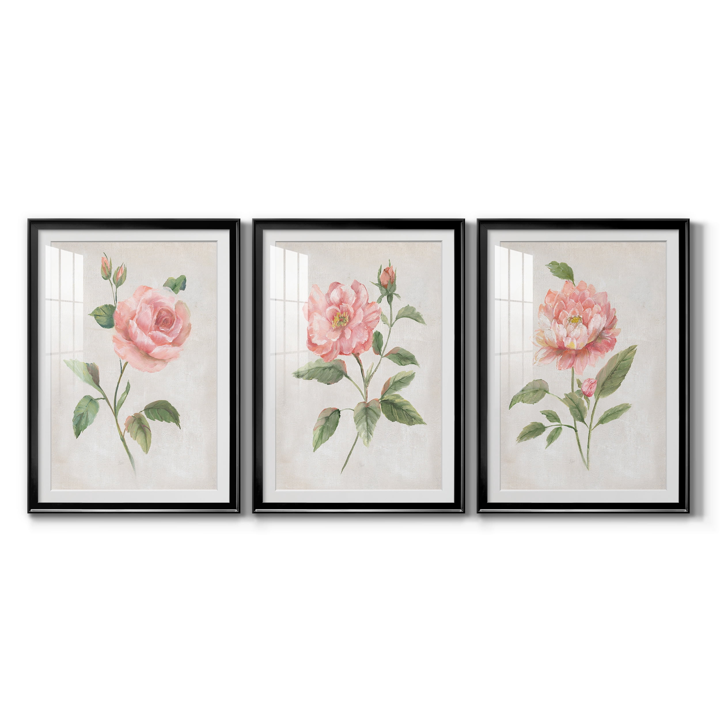 Grandiflora I Premium Framed Prints Set of 3 - Ready to Hang - 26.5 x 36.5 Each - Black Frame