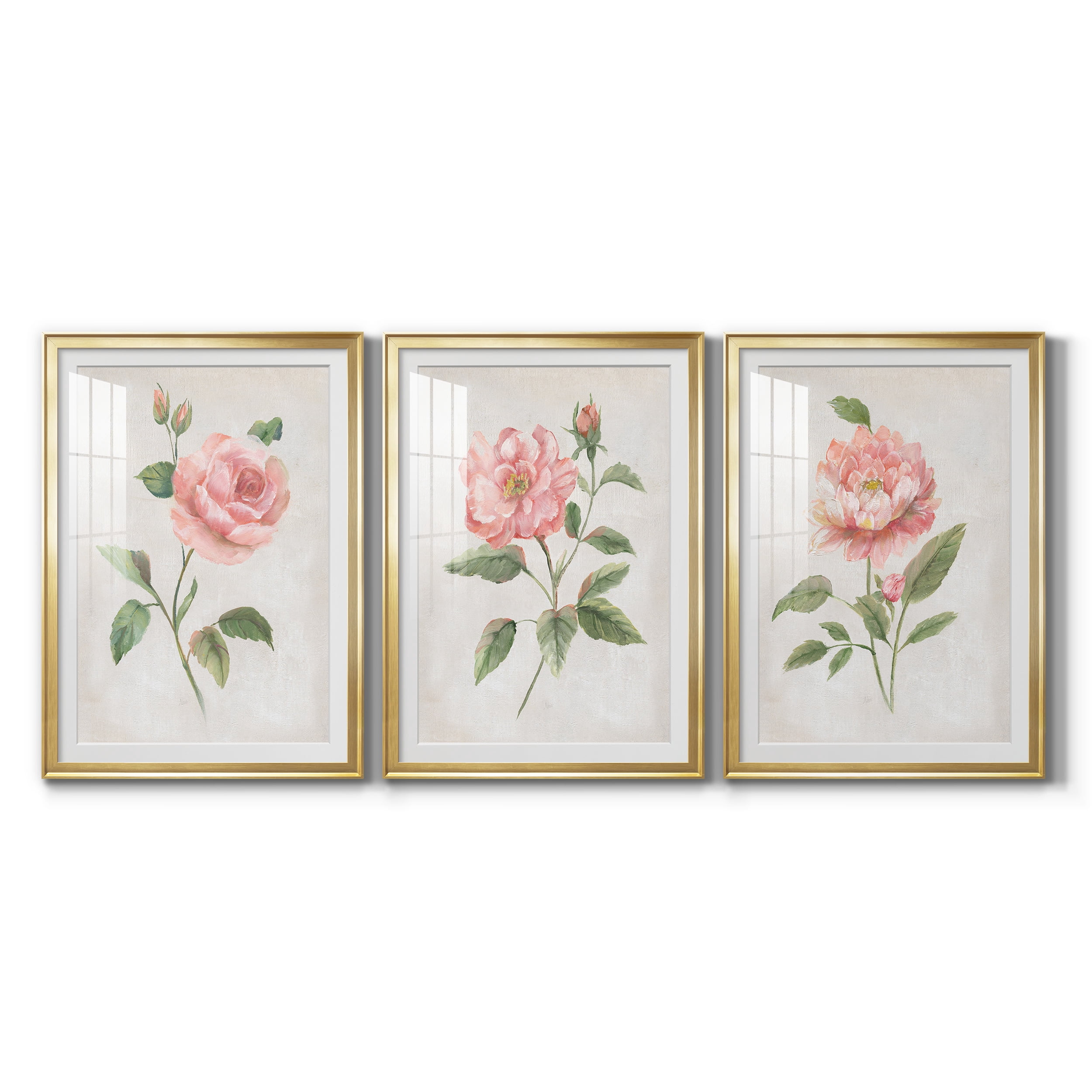 Grandiflora I Premium Framed Prints Set of 3 - Ready to Hang - 30.5 x 42.5 Each - Gold Frame