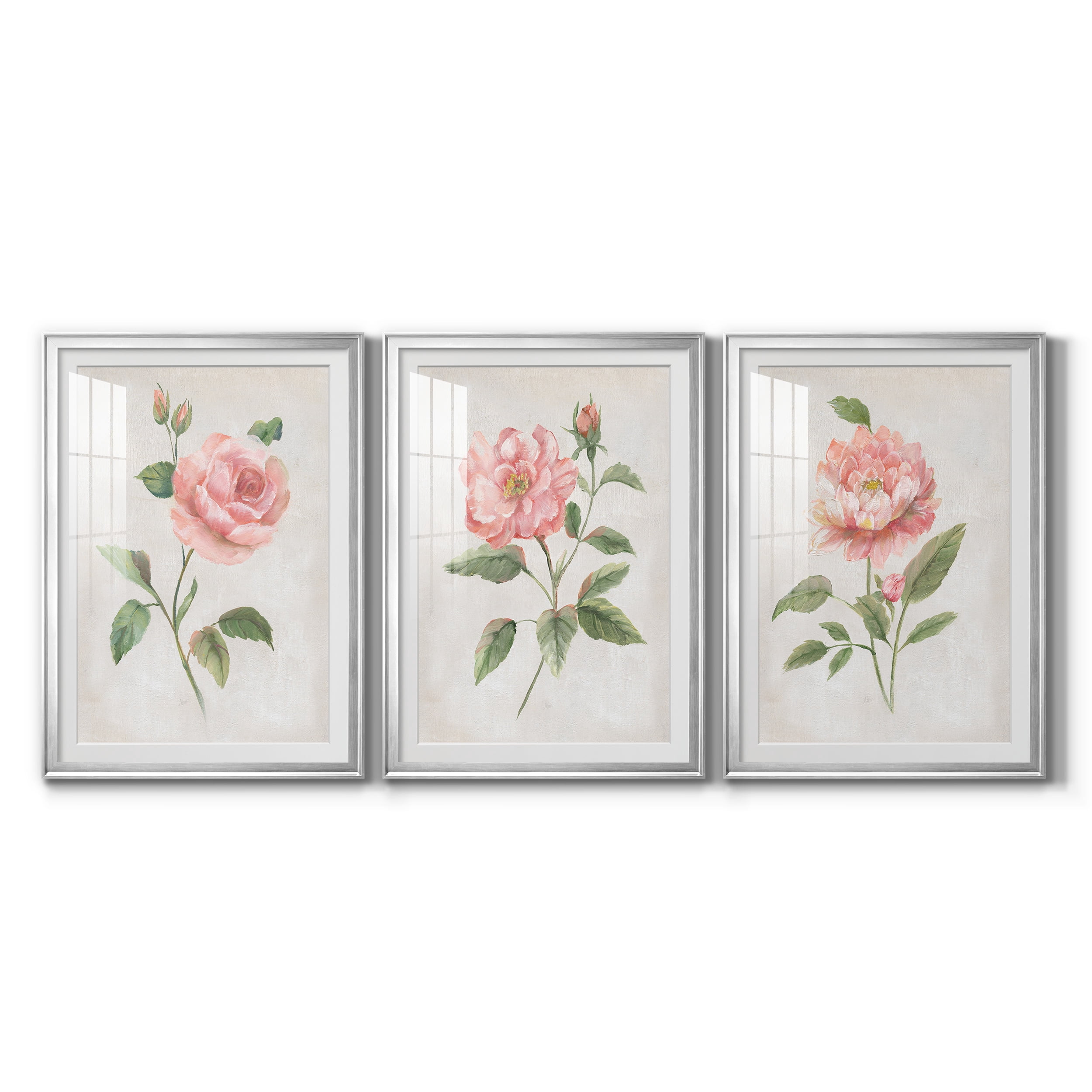 Grandiflora I Premium Framed Prints Set of 3 - Ready to Hang - 30.5 x 42.5 Each - Silver Frame