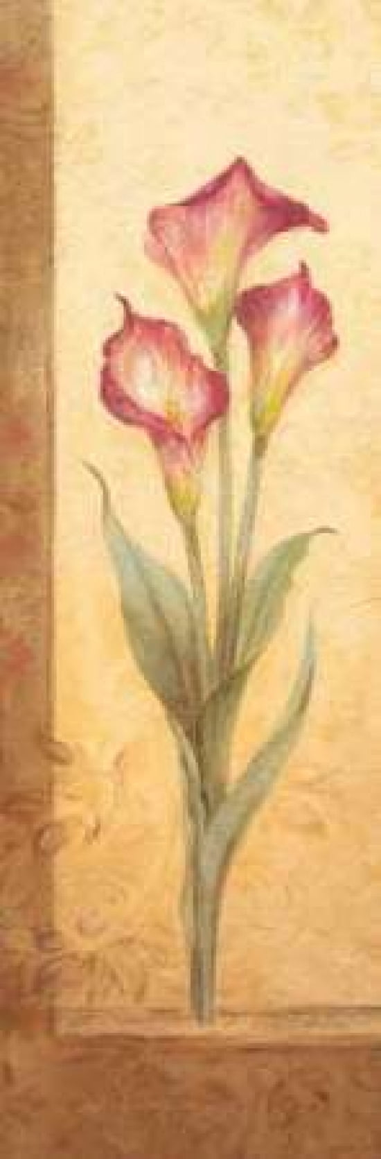 Grandiflora III Canvas Art - Pamela Gladding (12 x 36)