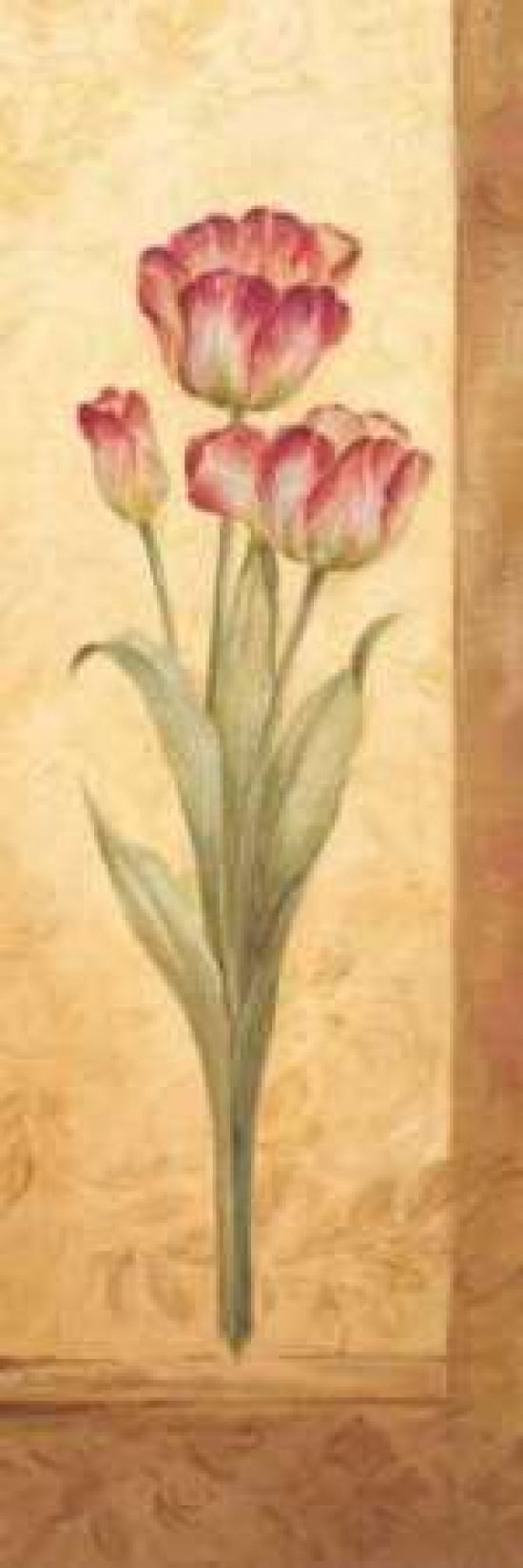 Grandiflora IV Canvas Art - Pamela Gladding (12 x 36)