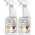 thumbnail image 1 of Grandma’s Secret Refresh N ReWear Fabric Freshener Wrinkle Release Spray for Clothing 16oz 2 Pack, 1 of 7
