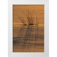 thumbnail image 1 of Grandmaison, Mike 13x18 White Modern Wood Framed Museum Art Print Titled - Canada, Ontario, Hope Bay Grasses at sunset, 1 of 4