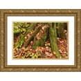 thumbnail image 1 of Grandmaison, Mike 14x11 Gold Ornate Wood Framed with Double Matting Museum Art Print Titled - Canada, Ontario, Autumn leaves cover base of tree, 1 of 4
