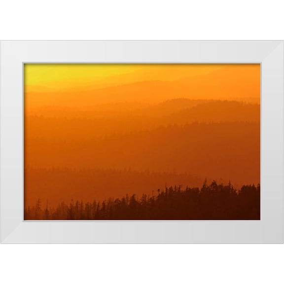 Grandmaison, Mike 14x11 White Modern Wood Framed Museum Art Print Titled - Canada, BC, Mountains of rain forest at sunset