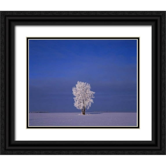 Grandmaison, Mike 14x12 Black Ornate Wood Framed with Double Matting Museum Art Print Titled - Canada, Dugald, hoarfrost on cottonwood trees