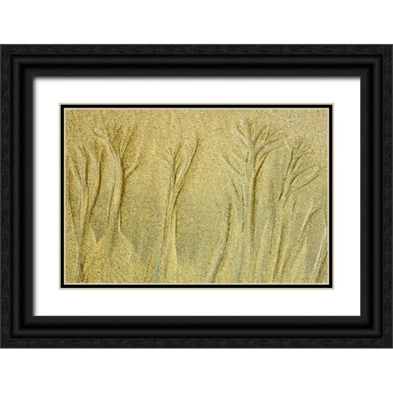 Grandmaison, Mike 18x13 Black Ornate Wood Framed with Double Matting Museum Art Print Titled - Canada, Pacific Rim NP Patterns on the beach