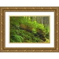 thumbnail image 1 of Grandmaison, Mike 18x13 Gold Ornate Wood Framed with Double Matting Museum Art Print Titled - Canada, BC, Plants growing on log in rain forest, 1 of 4
