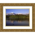 thumbnail image 1 of Grandmaison, Mike 18x14 Gold Ornate Wood Framed with Double Matting Museum Art Print Titled - Canada, British Columbia, Coastal forest, 1 of 4