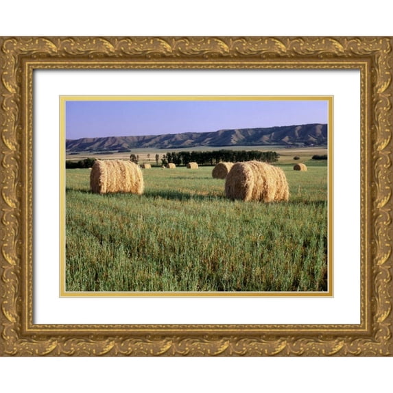 Grandmaison, Mike 18x14 Gold Ornate Wood Framed with Double Matting Museum Art Print Titled - Canada, Manitoba, rolled hay bales in field