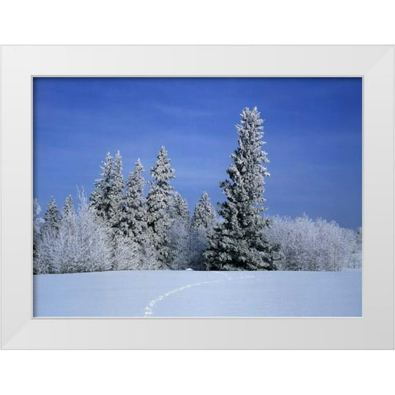 Grandmaison, Mike 18x14 White Modern Wood Framed Museum Art Print Titled - Canada, Manitoba, Birds Hill Provincial Park
