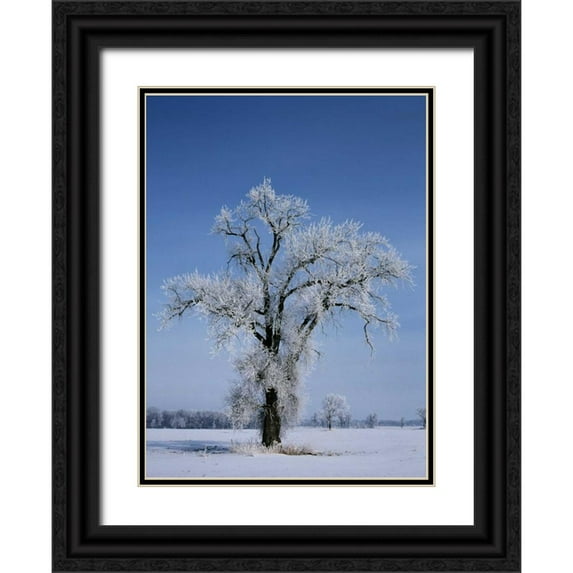 Grandmaison, Mike 19x24 Black Ornate Wood Framed with Double Matting Museum Art Print Titled - Canada, St Adolphe, hoarfrost on cottonwood tree
